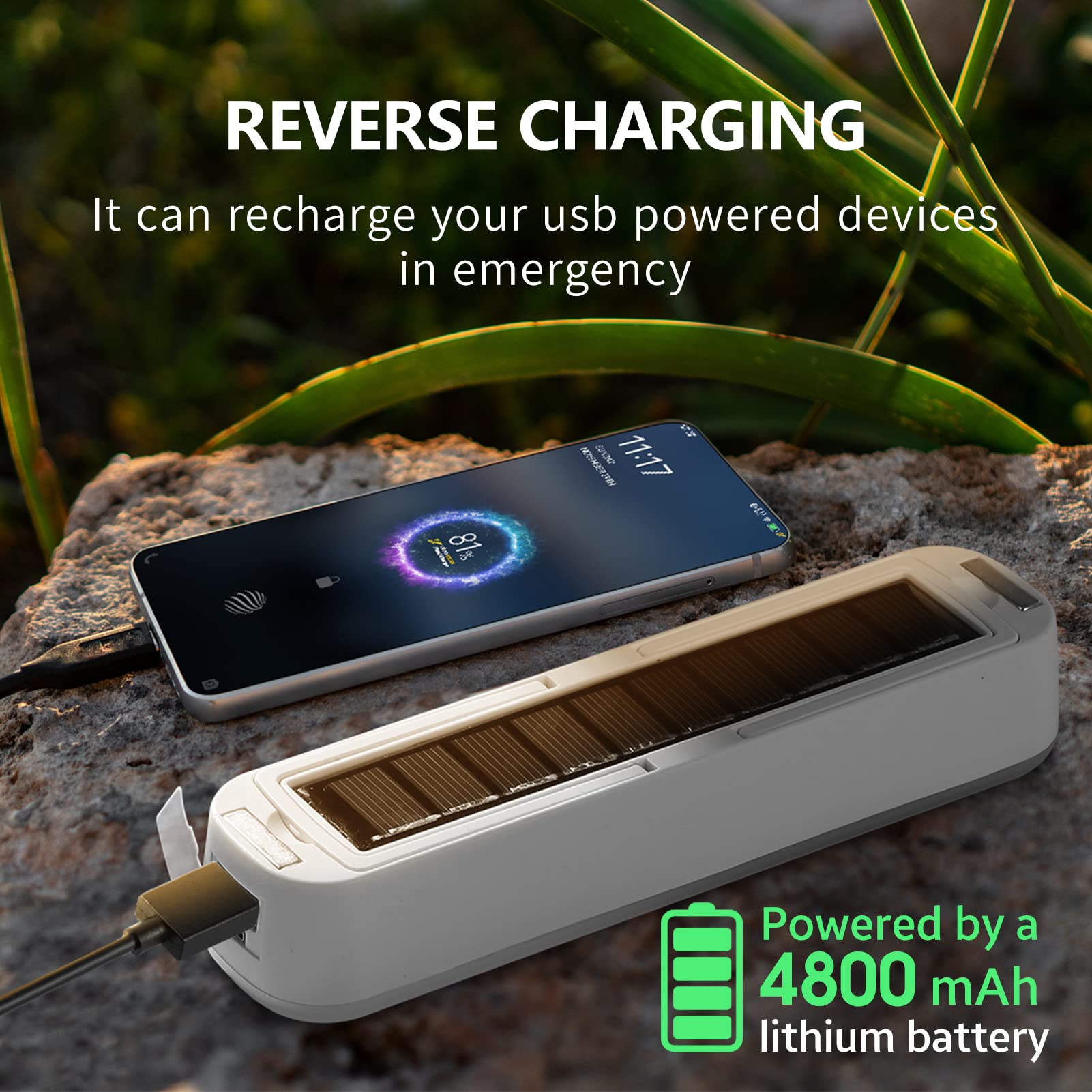 Linterna Solar recargable para - Renewable Energy Source reseña y precio